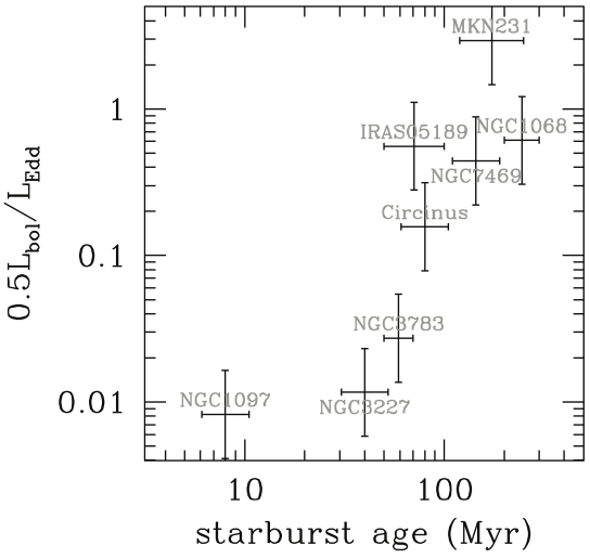 Towards a comprehensive
understanding of the interstellar medium in the extreme environment of
Active Galactic Nuclei
